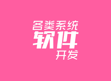 進(jìn)入了解各類(lèi)系統(tǒng)、軟件開(kāi)發(fā)